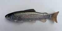 9.25" Line Through/Weedless Trout - Stocker