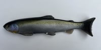 12" Line Through Trout - Chrome Dark Green Back