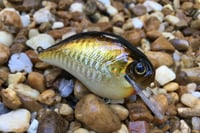 Image 6 of Custom Airbrushed S-CRANK 1.5 Squarebill Crankbait  804