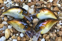 Image 11 of Custom Airbrushed S-CRANK 1.5 Squarebill Crankbait  804