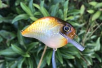 Image 15 of Custom Airbrushed S-CRANK 1.5 Squarebill Crankbait  804