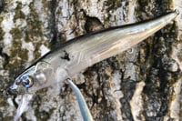 Image 12 of  Custom Airbrushed Jerkbait TA 110 0894