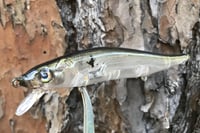 Image 13 of  Custom Airbrushed Jerkbait TA 110 0894