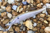 Image 2 of Custom Airbrushed Jerkbait TA 110 1218