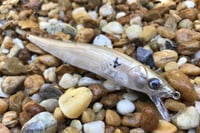 Image 5 of Custom Airbrushed Jerkbait TA 110 1218