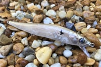 Image 7 of Custom Airbrushed Jerkbait TA 110 1218