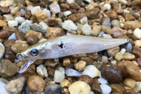 Image 1 of Custom Airbrushed Jerkbait TA 110 1218