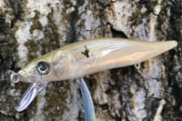 Image 9 of Custom Airbrushed Jerkbait TA 110 1218