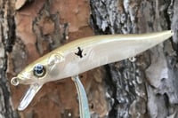 Image 11 of Custom Airbrushed Jerkbait TA 110 1218