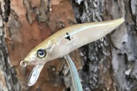 Image 13 of Custom Airbrushed Jerkbait TA 110 1218