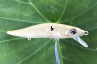 Image 15 of Custom Airbrushed Jerkbait TA 110 1218