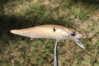 Image 16 of Custom Airbrushed Jerkbait TA 110 1218