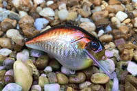 Image 4 of Custom Airbrushed S-CRANK 1.5 Squarebill Crankbait  1287