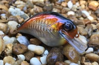 Image 6 of Custom Airbrushed S-CRANK 1.5 Squarebill Crankbait  1287