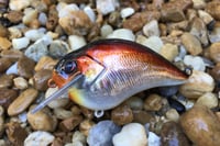 Image 3 of Custom Airbrushed S-CRANK 1.5 Squarebill Crankbait  1287