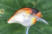 Image 12 of Custom Airbrushed S-CRANK 1.5 Squarebill Crankbait  1287