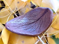 Grave Goods Bowl Foxglove