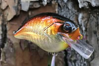 Image 19 of Custom Airbrushed S-CRANK 1.5 Squarebill Crankbait  1287