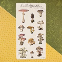Image 1 of Mushroom Forager Sticker Sheet (24-003)