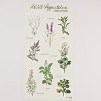Image 2 of Herbal Remedies Sticker Sheet (24-008)