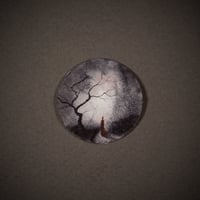 Image 2 of It's the little ones you have to look out for