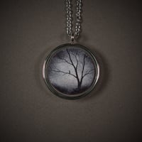 Image 1 of Taking it all in