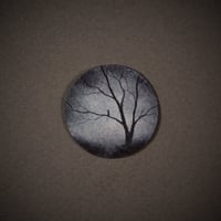 Image 2 of Taking it all in