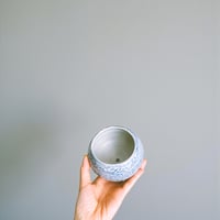 Image 4 of emp. true/kind