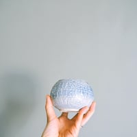 Image 5 of emp. true/kind