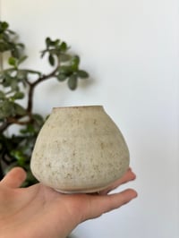 COASTAL VASE