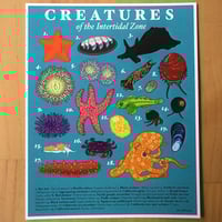 Creatures of the Intertidal Zone Print
