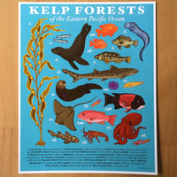 Kelp Forests of the Eastern Pacific Print