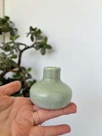 TASHI VASE