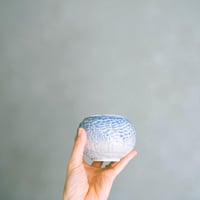 Image 3 of emp. kind/gentle