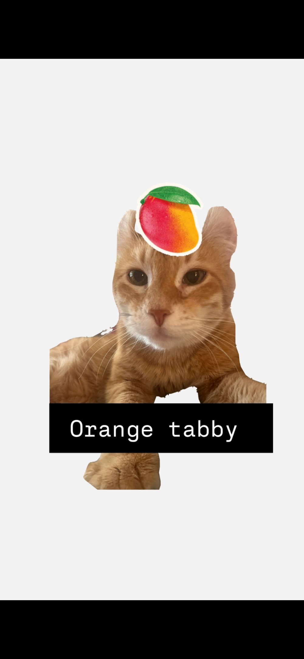 Image of tea time de sakibomb