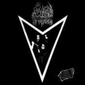 Image of Back Murder – Feasts 12" LP