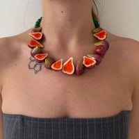 Image 2 of Fig Party 