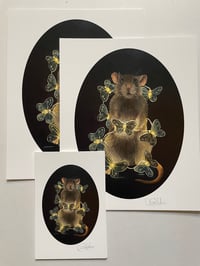 Image 3 of LIMITED EDITION - November Lightbringer Print