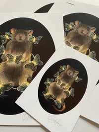 Image 1 of LIMITED EDITION - November Lightbringer Print