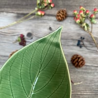 Image 3 of SLIGHT SECONDS Handmade Ceramic Leaf Dish.