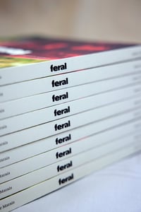 Image 5 of  FERAL ISSUE ONE - BY STEVE MARAIS - IN PRINT