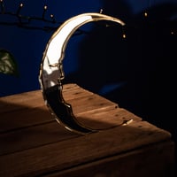 Image 6 of Crescent Moon Mirror by Suzanne Oddy Design