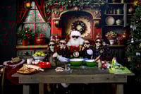 Image 5 of Classic Santa Mini Sessions Saturday November 15, 2025