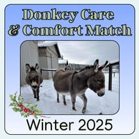 Image 1 of Donate - Donkey Care & Comfort Match - Winter 2025