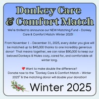 Image 3 of Donate - Donkey Care & Comfort Match - Winter 2025