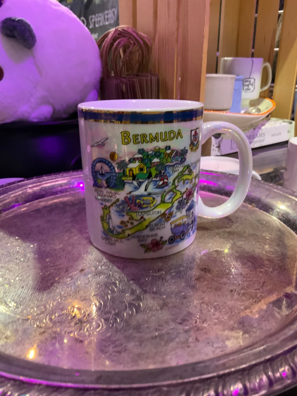 Image of ~ Bermuda Vacation ~