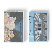 Arent We Amphibians - Parade Parade Tape