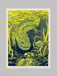 Image 1 of Crab in my Shoemouth