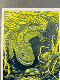 Image 2 of Crab in my Shoemouth