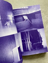 Image 4 of Making Kin: Animals